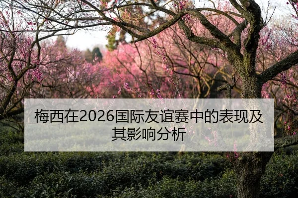 梅西在2026国际友谊赛中的表现及其影响分析
