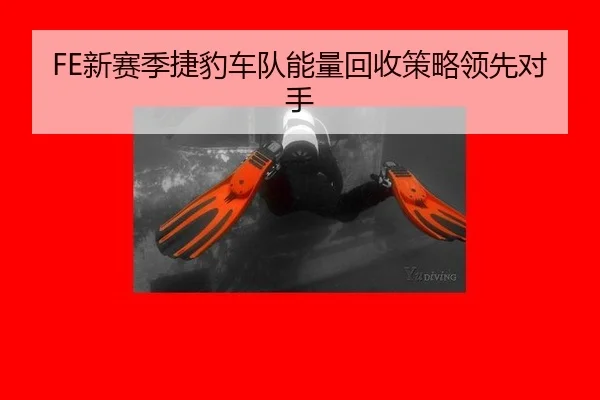xin-sai-ji-jie-bao-che-dui-neng-liang-hui-shou-ce-lve-ling-xian-dui-shou-2-914.jpg
